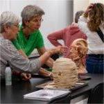 两个女人在实验室里看塑料的头部模型